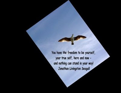 30__520x340_jonathan-livingston-seagull