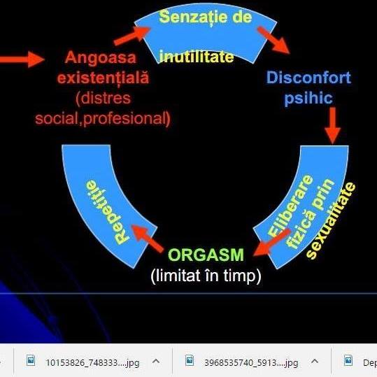17264650_1455597091138179_5408819020047168608_n