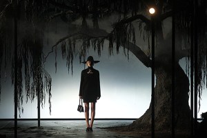 04_alberebaz_560x375