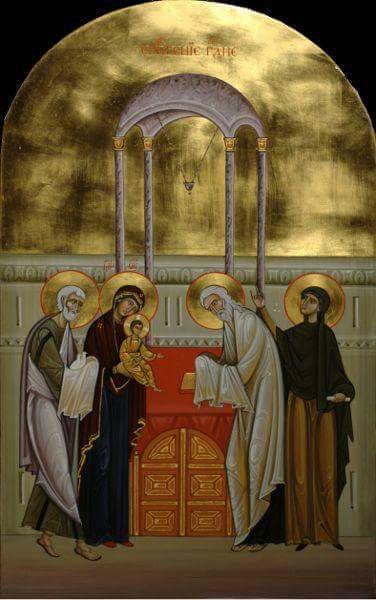 16472943_640716166136031_4138152477203850346_n