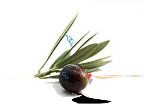 11887987_10204874072707998_5115920445377876926_n