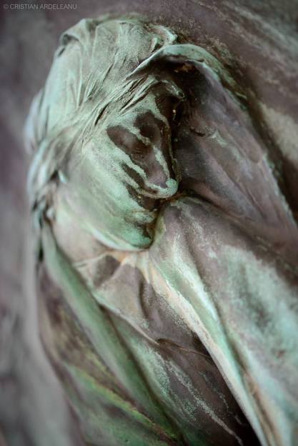 11535915_10153102864047535_5012207193628994877_n