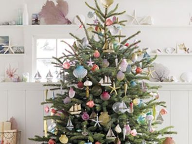 440x330_069863-brad-de-craciun