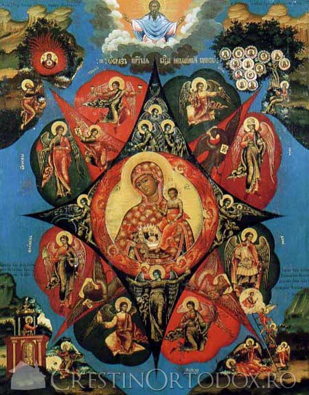 rugul-aprins-icoana-(5)