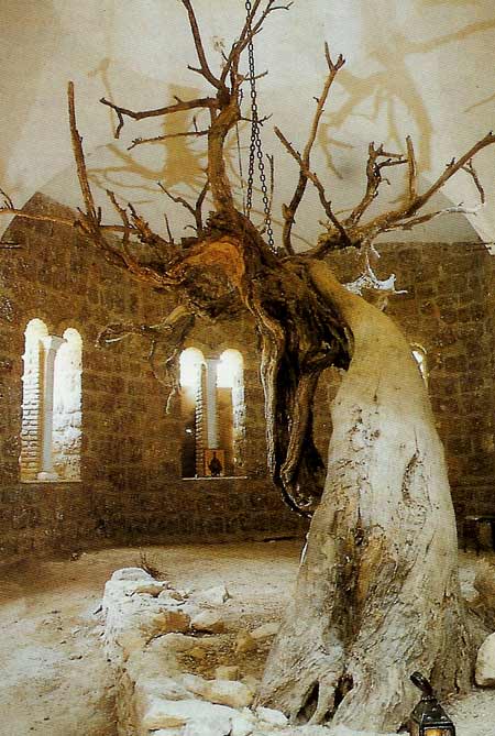 manastirea-sfantul-efrem-11