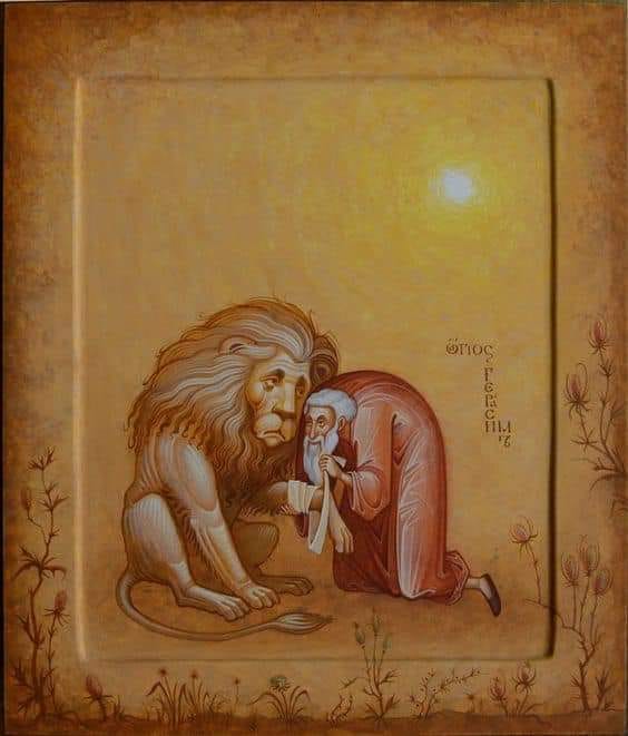 53484853_1100389790168664_7030734822146310144_n